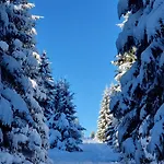 Gemuetliches Mit Eigenem Garten In Im Harz - Idyllisch In Der Aue Gelegen Tatil Evi Bad Lauterberg