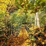 Hébergement de vacances Gemuetliches Mit Eigenem Garten In Im Harz - Idyllisch In Der Aue Gelegen