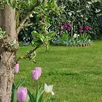 Gemuetliches Mit Eigenem Garten In Im Harz - Idyllisch In Der Aue Gelegen *
