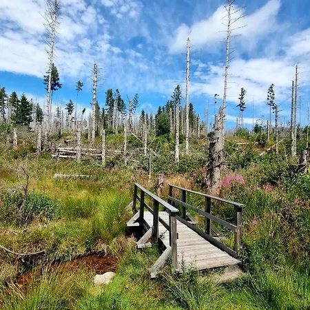 Gemuetliches Mit Eigenem Garten In Im Harz - Idyllisch In Der Aue Gelegen Casa de Férias Bad Lauterberg