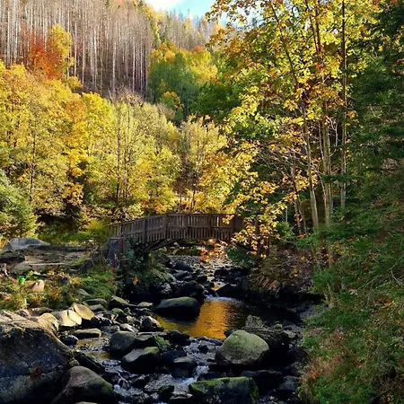펜션 Gemuetliches Mit Eigenem Garten In Im Harz - Idyllisch In Der Aue Gelegen *