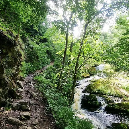 Casa de Férias Gemuetliches Mit Eigenem Garten In Im Harz - Idyllisch In Der Aue Gelegen *
