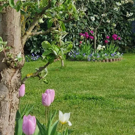 Gemuetliches Mit Eigenem Garten In Im Harz - Idyllisch In Der Aue Gelegen *