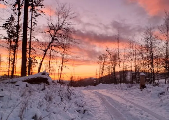 Gemuetliches Mit Eigenem Garten In Im Harz - Idyllisch In Der Aue Gelegen