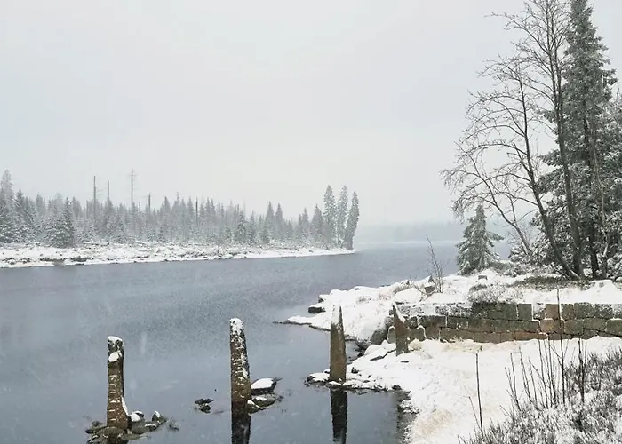 Gemuetliches Mit Eigenem Garten In Im Harz - Idyllisch In Der Aue Gelegen * 巴特劳特堡
