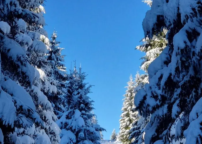 Gemuetliches Mit Eigenem Garten In Im Harz - Idyllisch In Der Aue Gelegen 度假居 巴特劳特堡