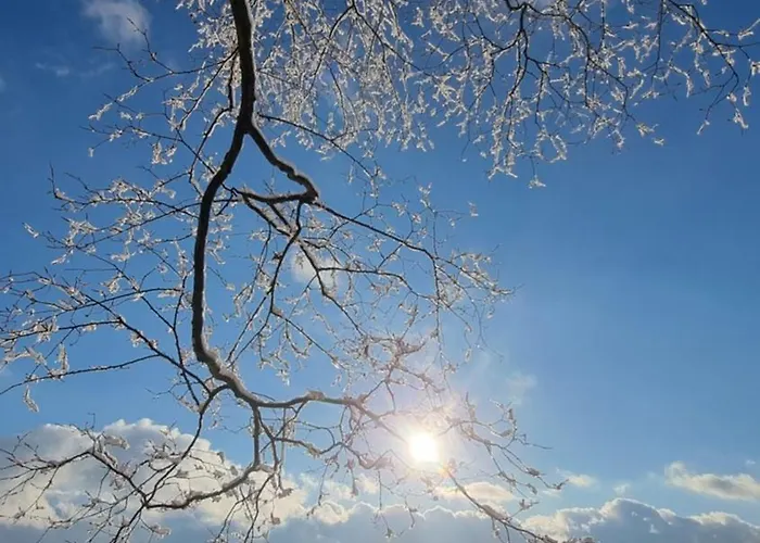 Gemuetliches Mit Eigenem Garten In Im Harz - Idyllisch In Der Aue Gelegen * 巴特劳特堡