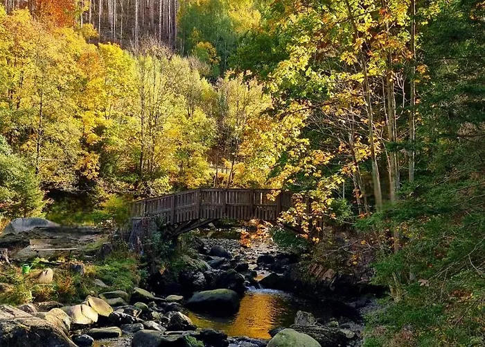 度假居 Gemuetliches Mit Eigenem Garten In Im Harz - Idyllisch In Der Aue Gelegen *